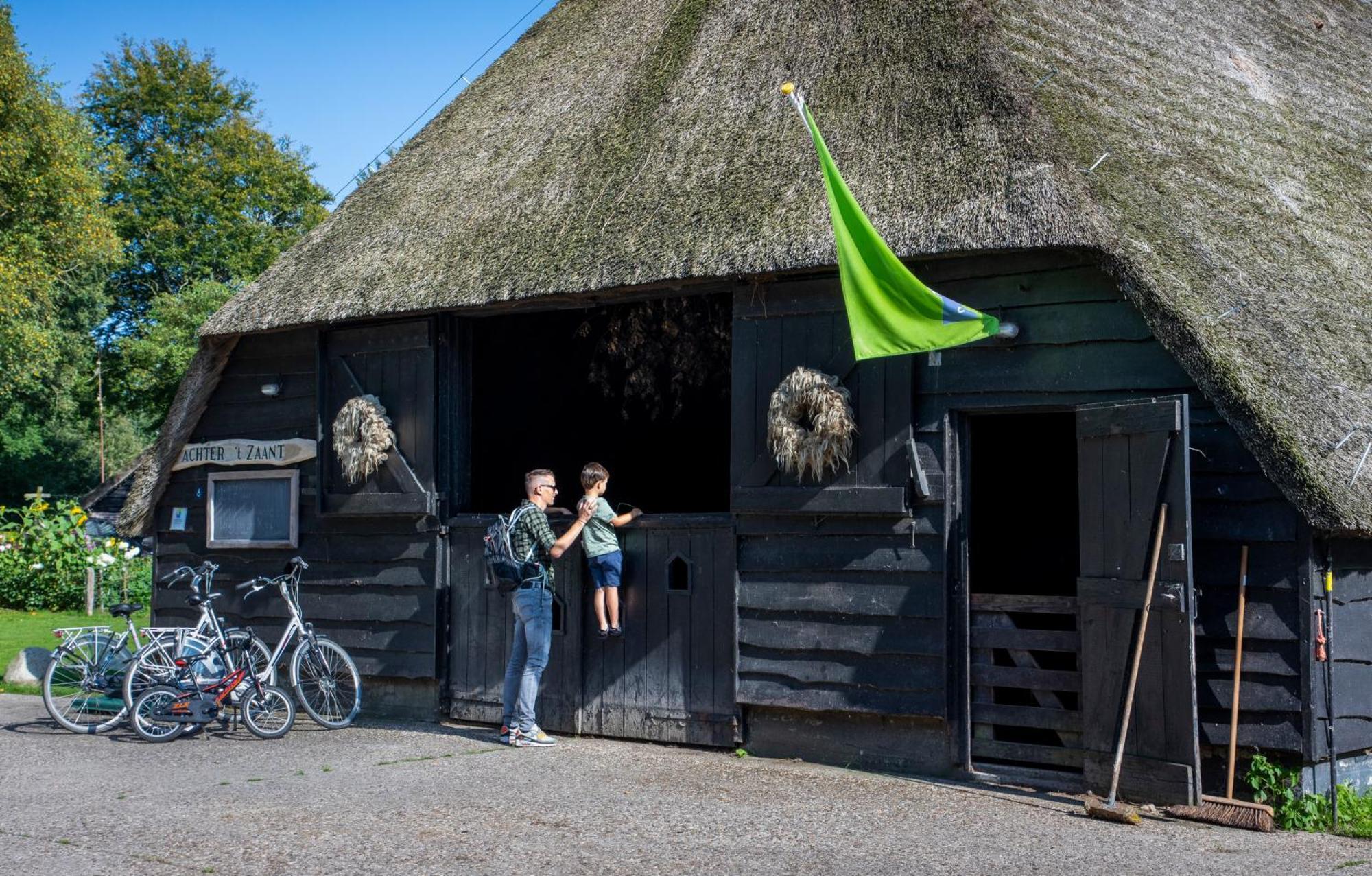 Camping De Bosrand Spier Exterior foto
